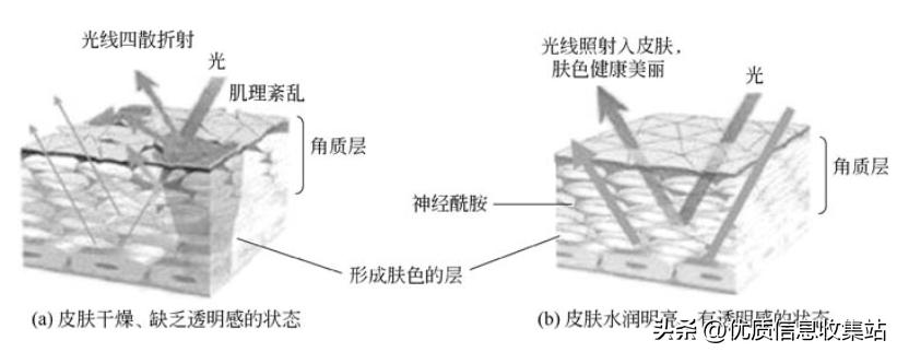 美容书单,美容知识书单