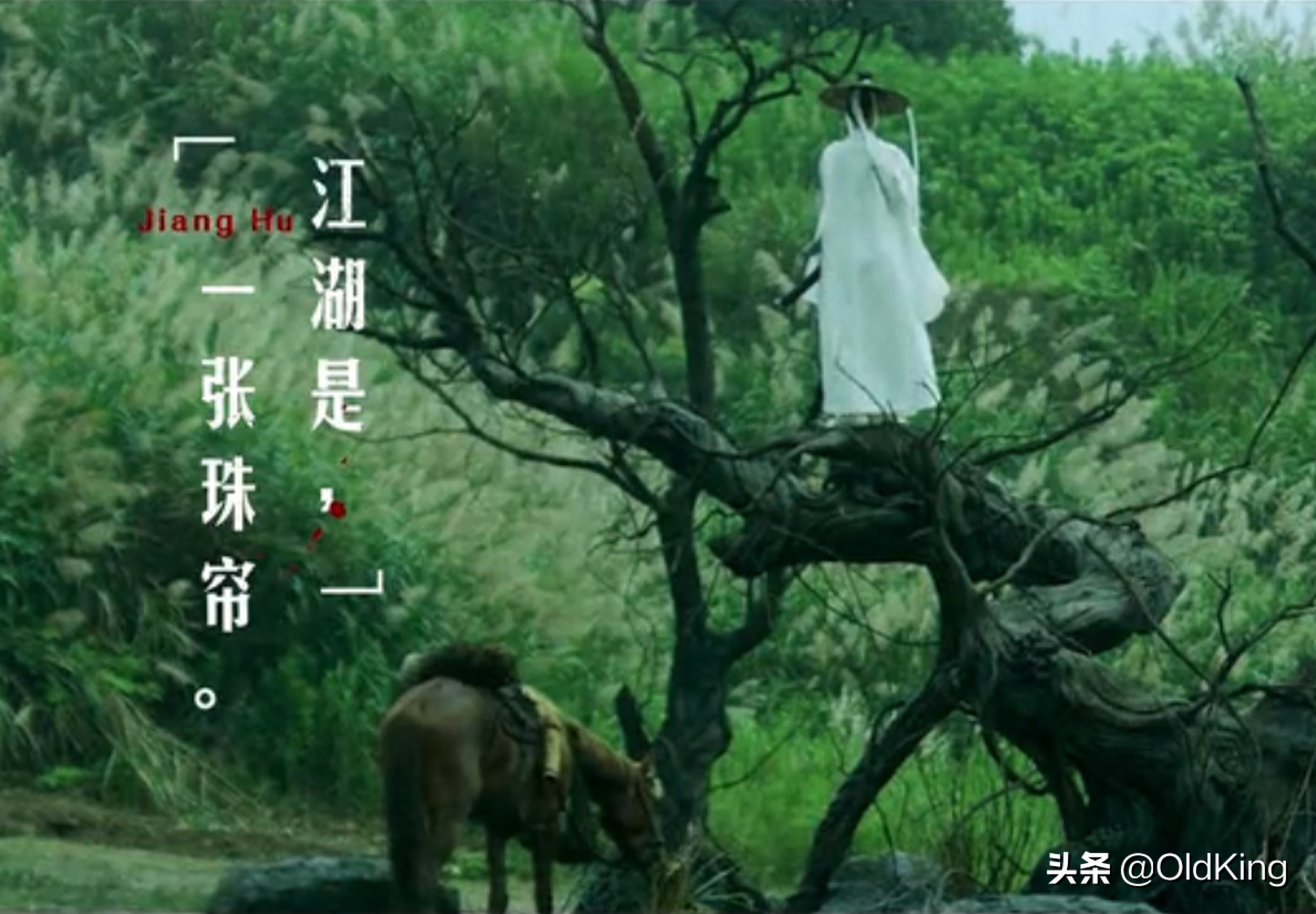 雪中悍刀行最感慨的人物,雪中悍刀行接斛珠夫人