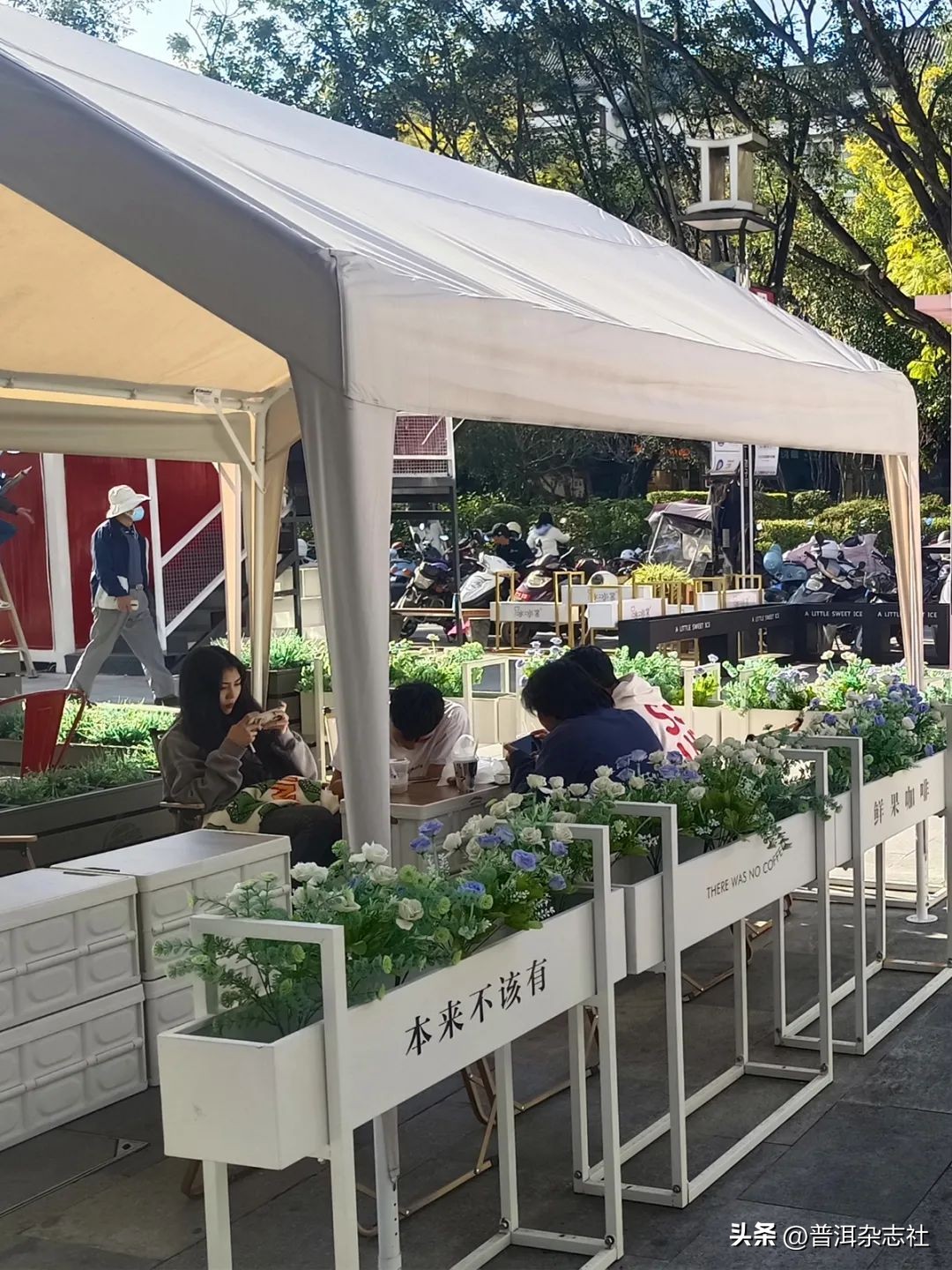 普洱市咖啡店推荐,普洱咖啡店推荐第一名