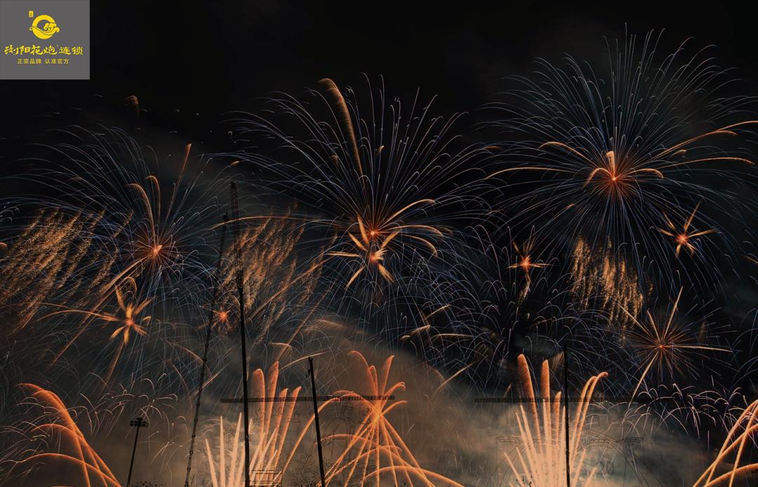 生肖兔的民俗与科学文化艺术,先生讲生肖兔