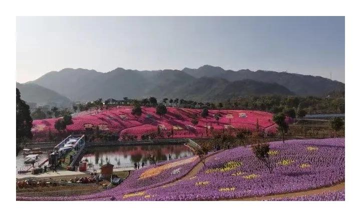 到浙江美丽乡村参观收获,考察浙江美丽乡村感想体会