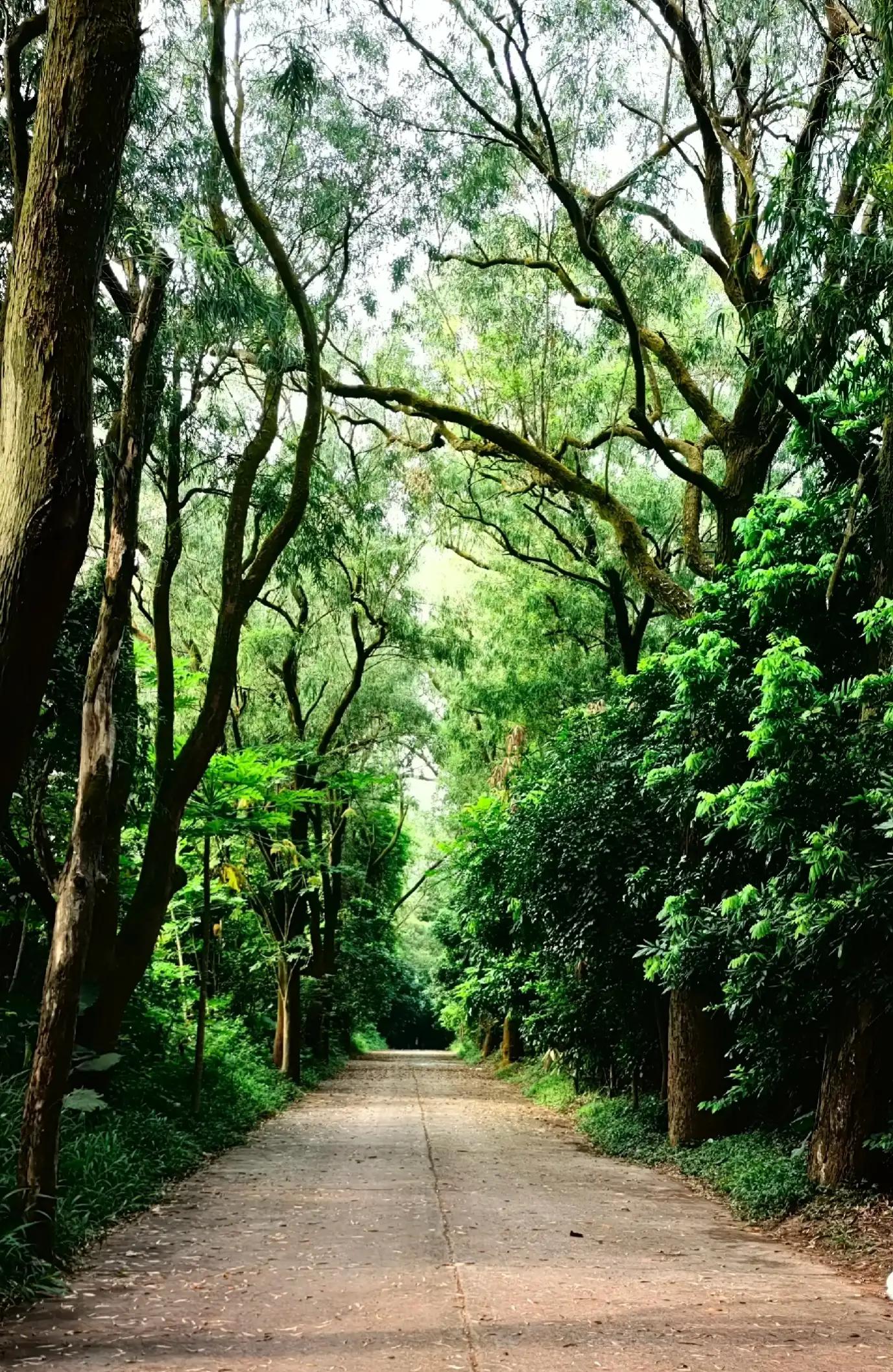 珠海红旗村周边游,珠海长隆周边游