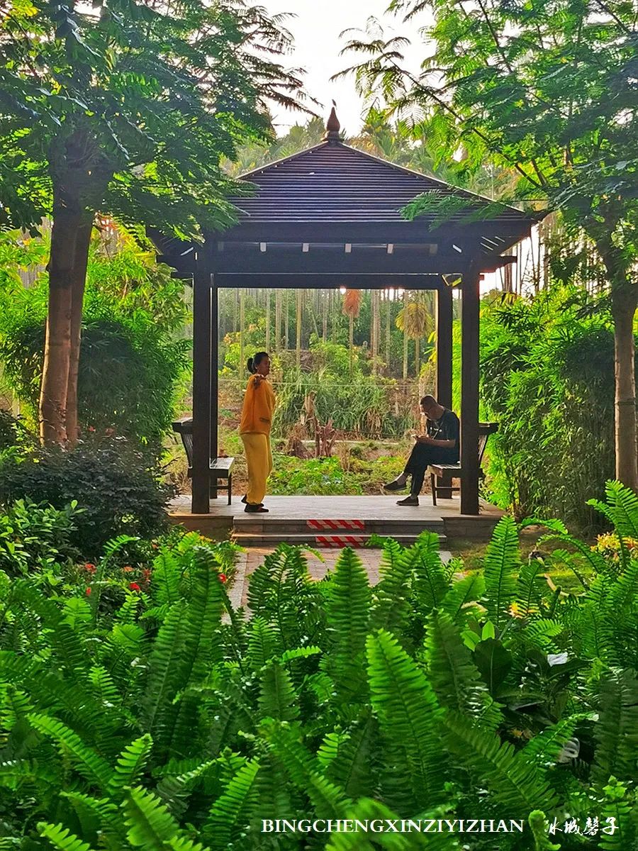 旅居海南,旅居式旅游生活海南