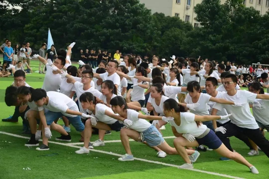 在成都读大学好就业吗,在成都读研究生是什么体验