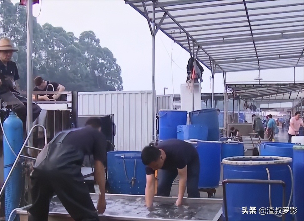 银行副行长辞职赚钱,中国银行副行长辞职