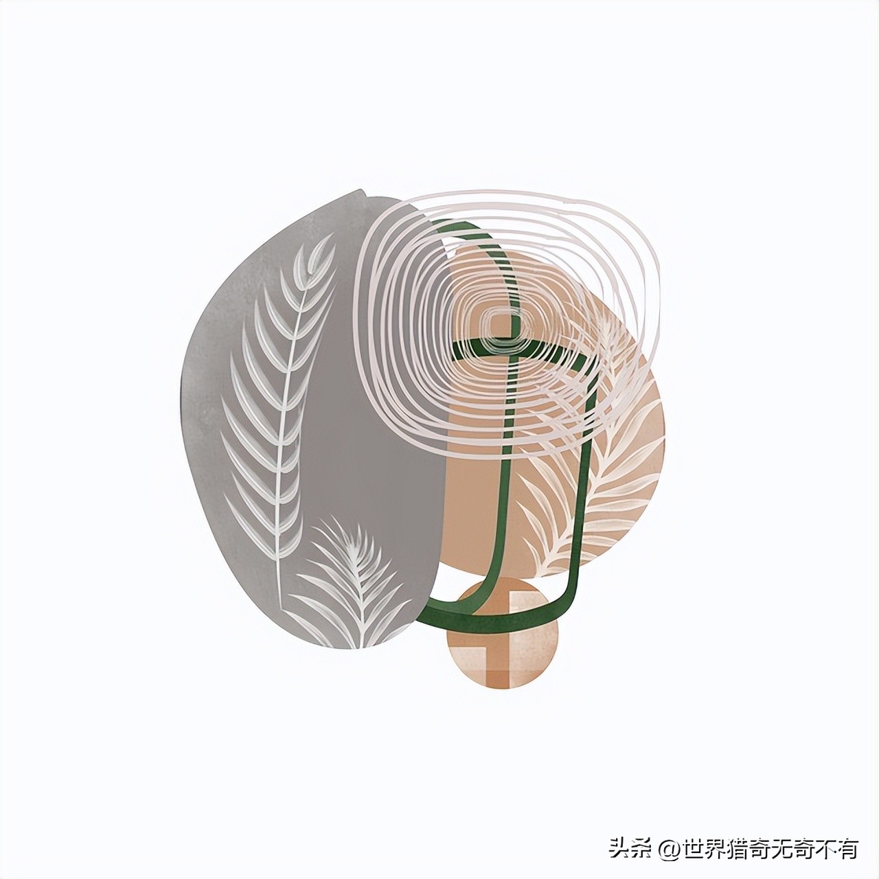 ufo到底是什么原理,ufo到底是什么骗局