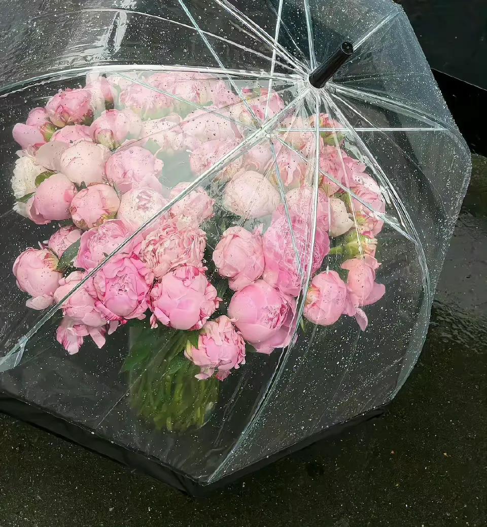 少生气多挣钱壁纸图,多挣钱少生气图片大全