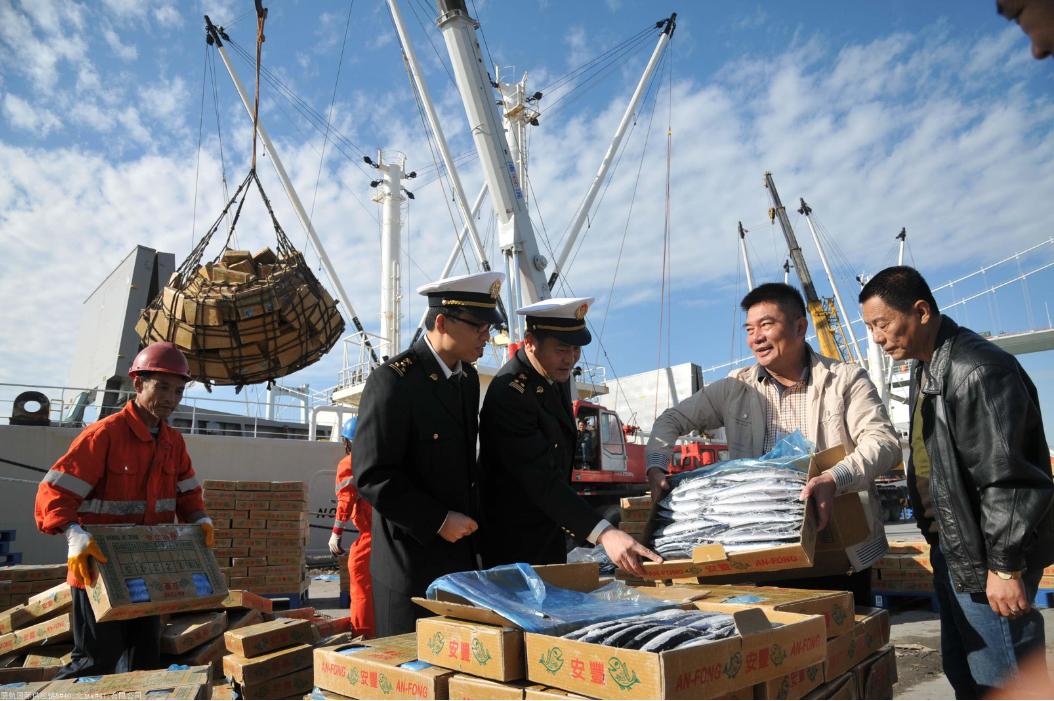 进口贸易与出口贸易对国情的影响,进口对我国经济的影响