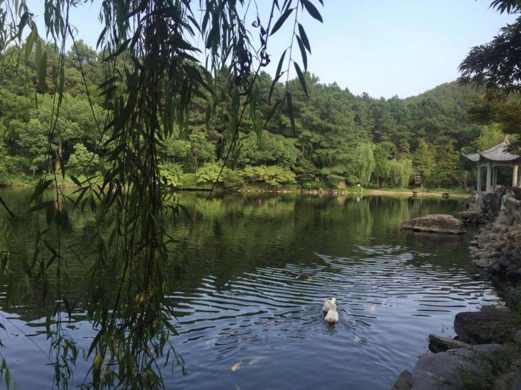 一家人去上海旅游最佳攻略3天,一家三口上海旅游