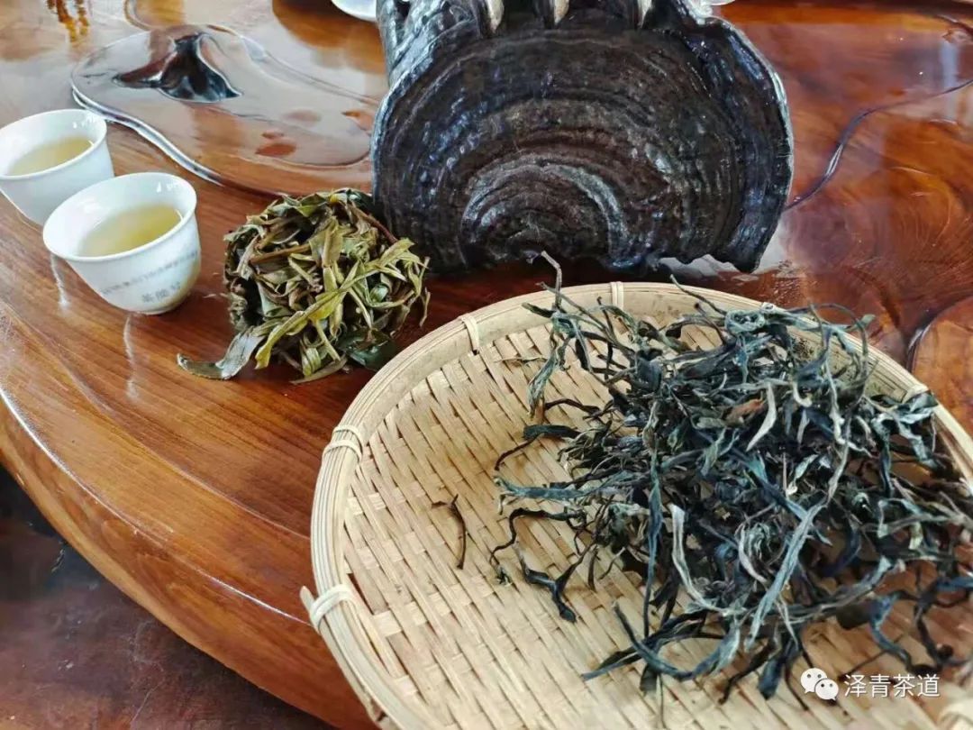 保塘古树茶好喝吗,芒景古树茶好喝吗