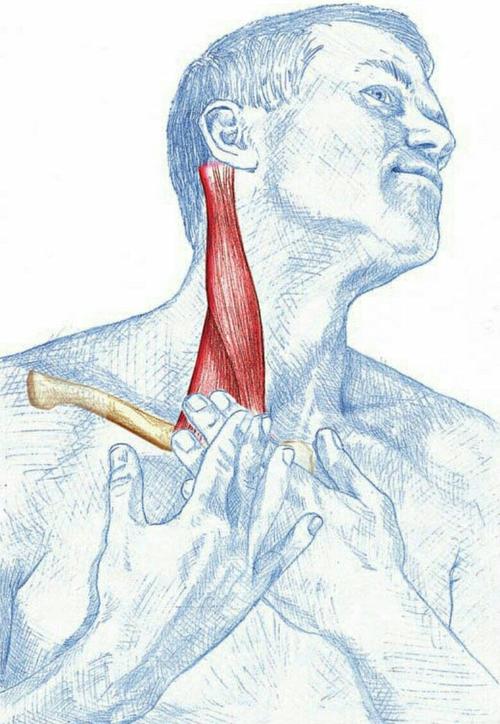 中医针灸治疗颈椎病原理,颈椎病针刀按摩针灸哪种方法好