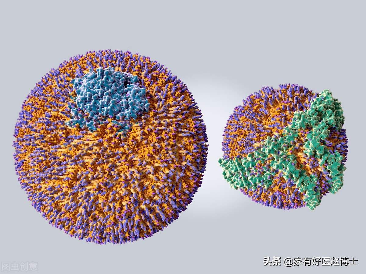 单纯甘油三酯高可以吃他汀,冠心病甘油三酯偏高吃什么他汀