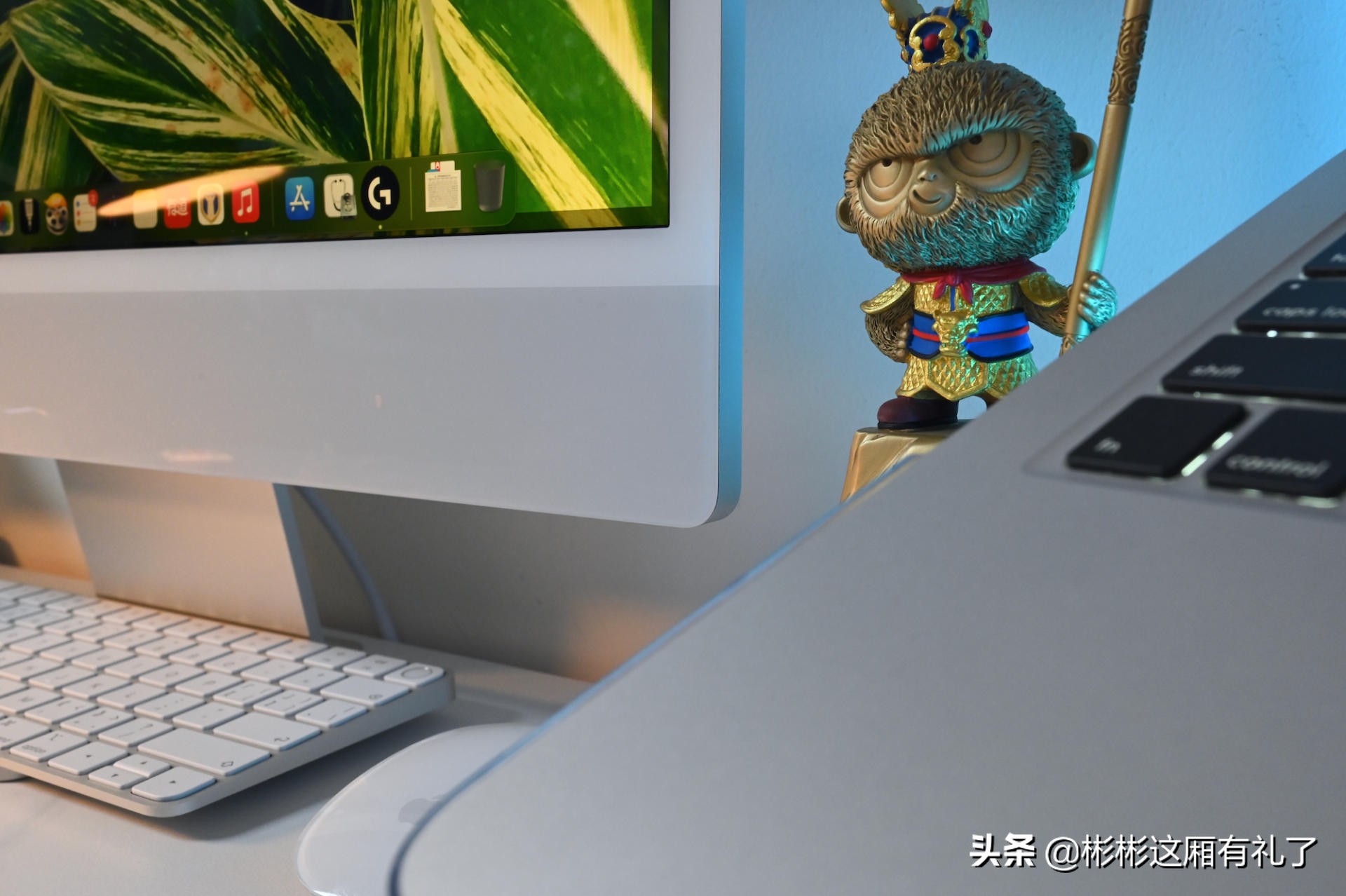 白色高光推荐测评,推荐十款桌面好物