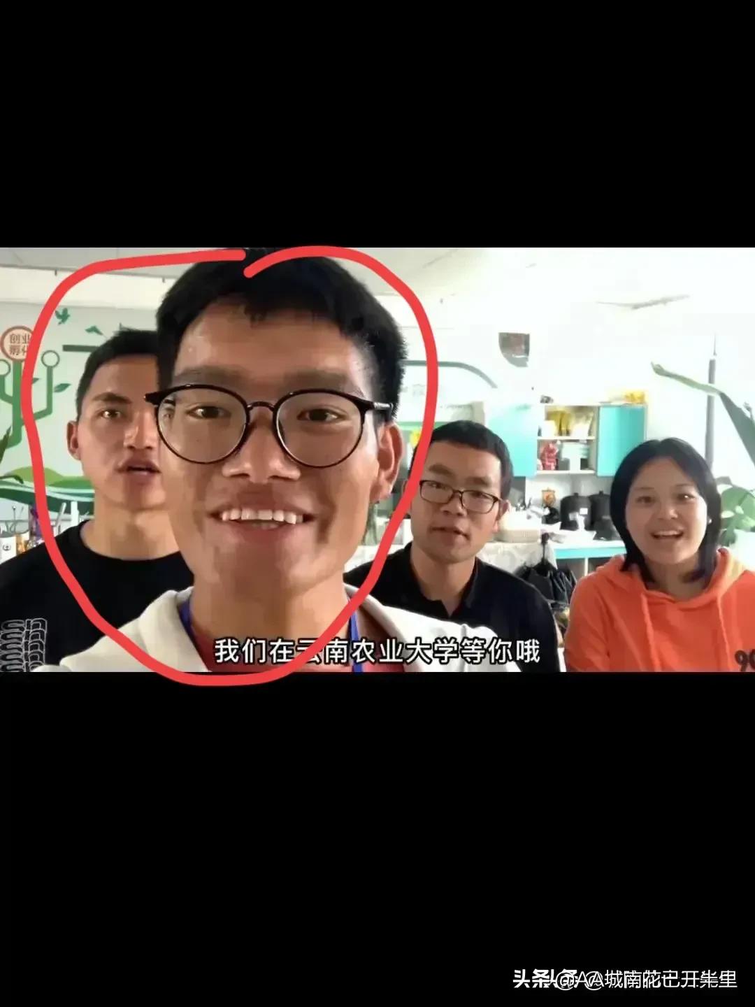云南农大招生简章火了,云南农大招生简章是什么梗