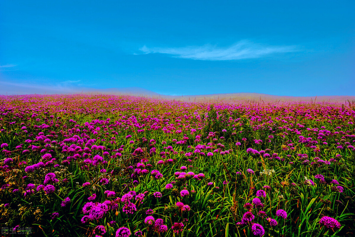 贵州旅行必去的地方排行榜,贵州旅游不能去的地方