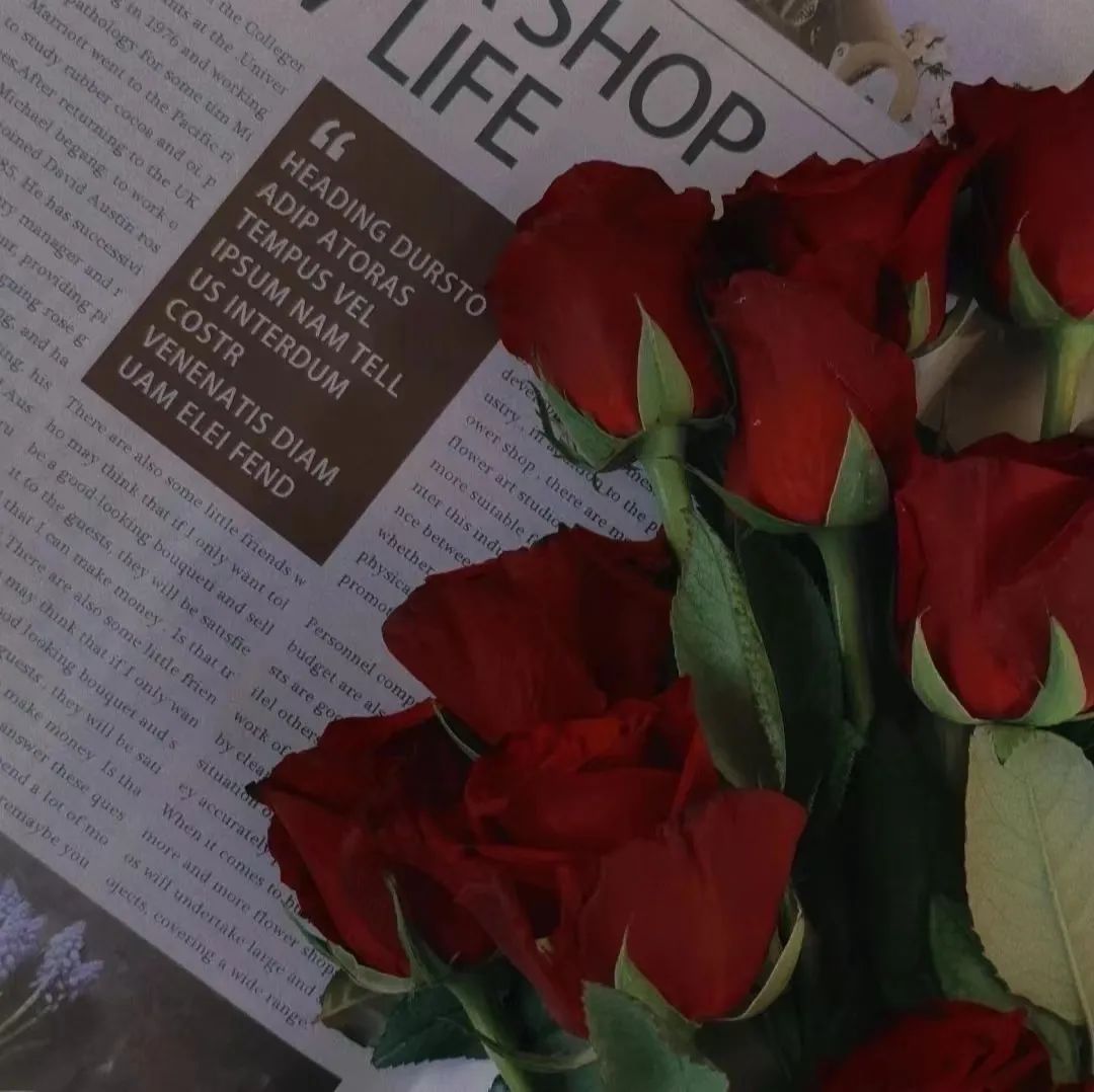 韩国小众女明星氛围感图片,氛围感微信背景图高级感