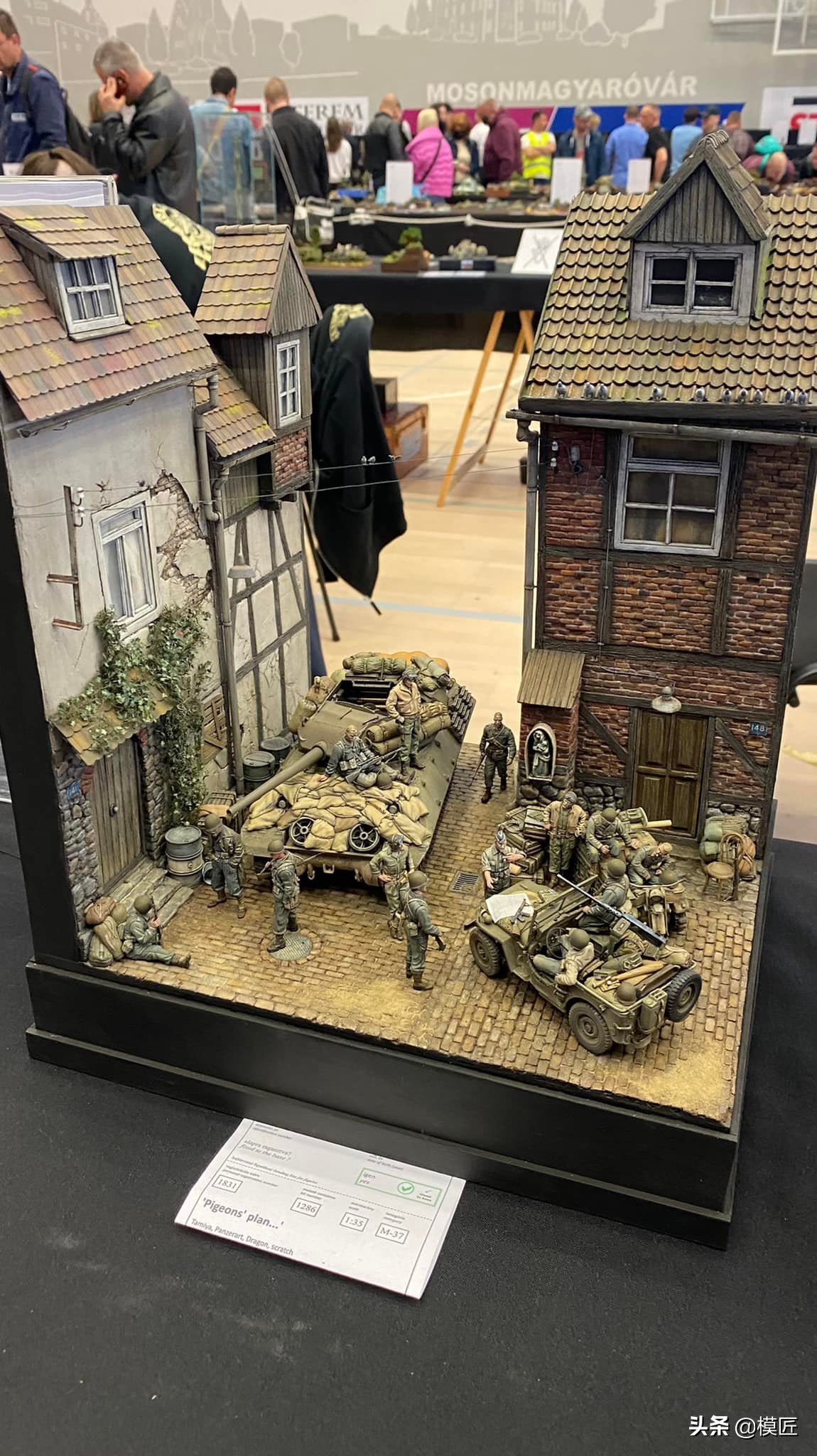 匈牙利莫森金奖,莫森模型展