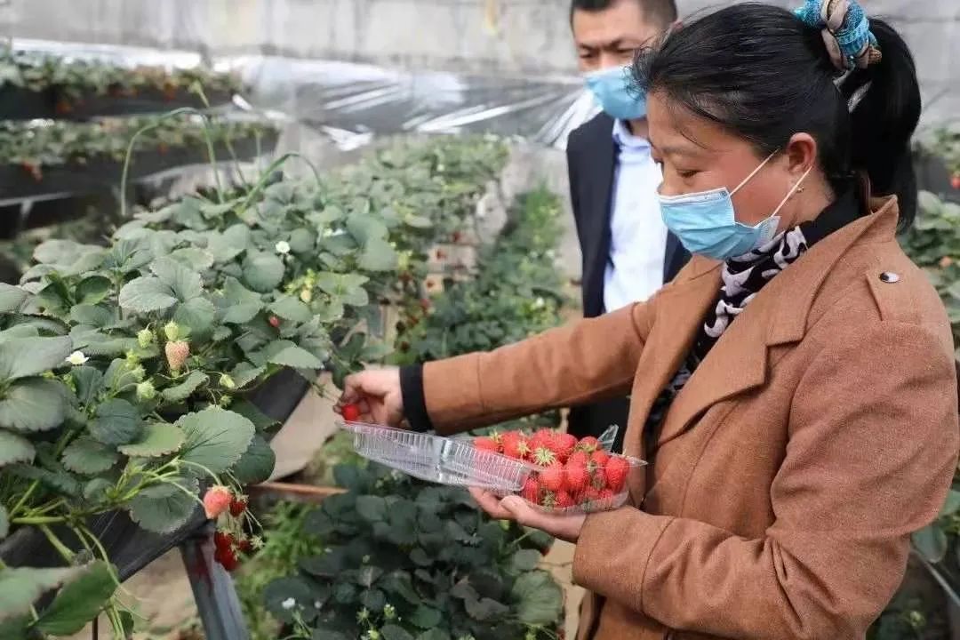 打造女性创业平台零风险创业,为留守妇女搭建创业平台