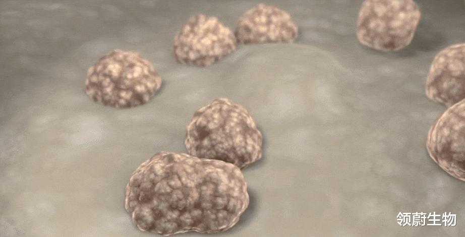 car-t细胞疗法是针对所有癌症吗,car-t细胞疗法十问