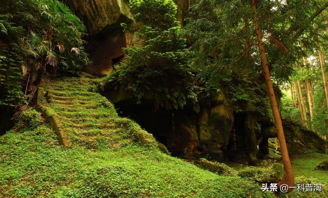 神农架野人真的曝光吗,神农架野人的真实存在吗