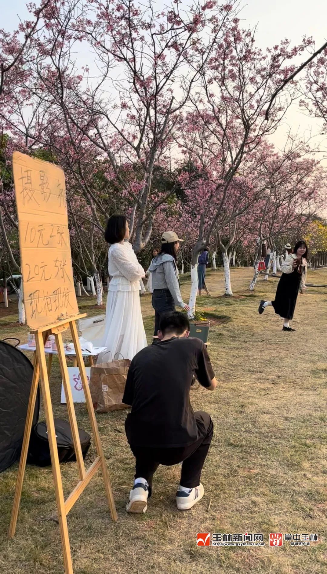 推文一口气看完细思极恐,一口气看完系列推文细思极恐