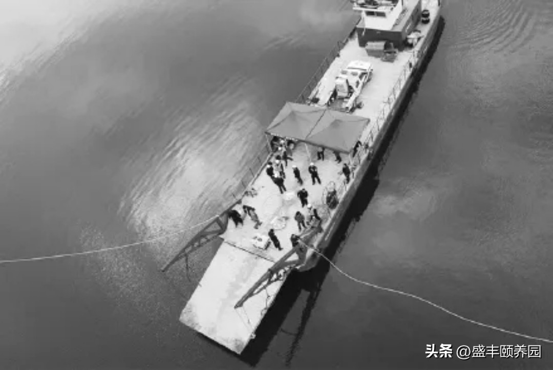 杭州铁笼沉湖案主犯老婆,杭州铁笼沉湖案今日说法