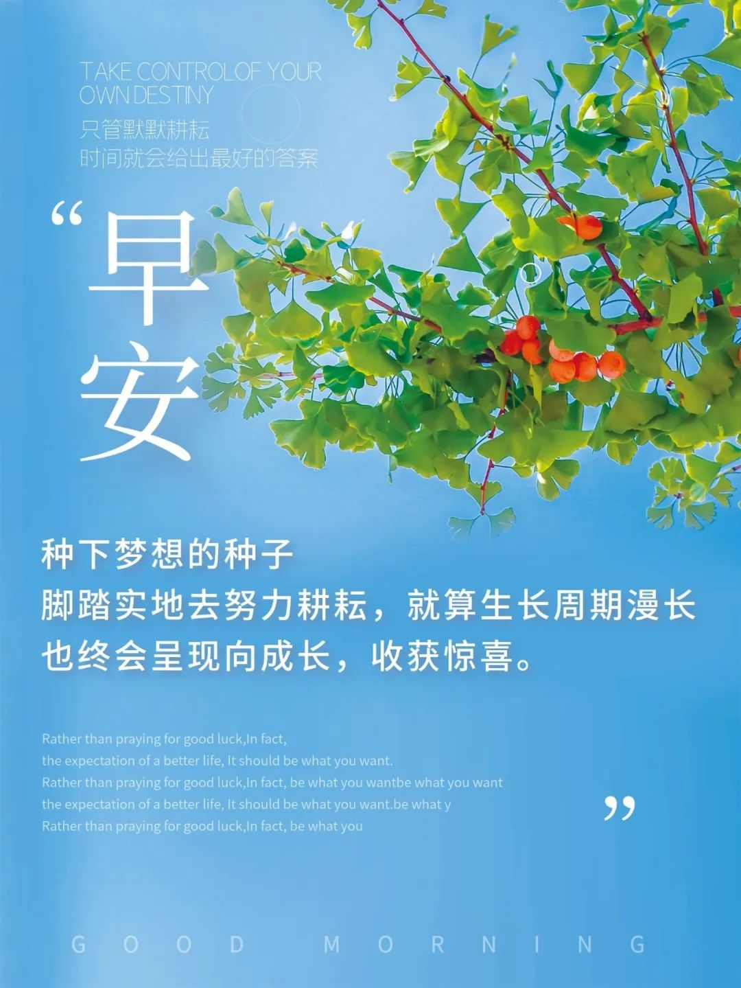 早安春分的祝福图片,今日春分早安心语