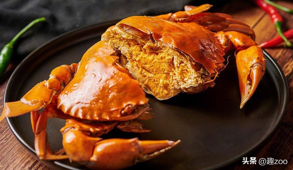 可以吃的螃蟹品种都有哪些,最常见的螃蟹品种大全图解