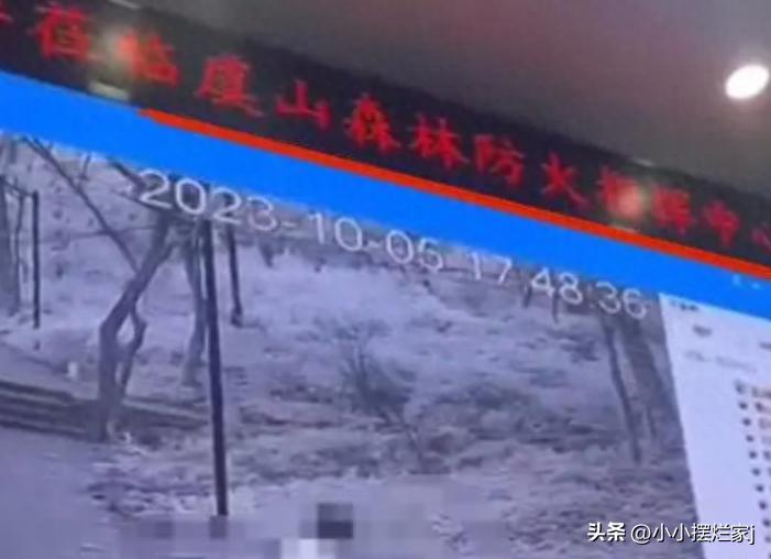 情侣在外面打闹,情侣被摄像机拍到