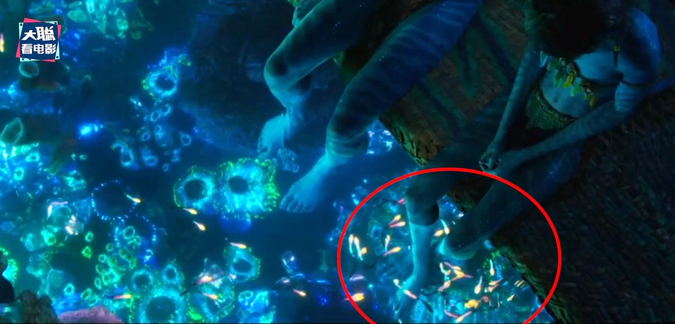 阿凡达2结局大儿子死了,阿凡达2战斗场面