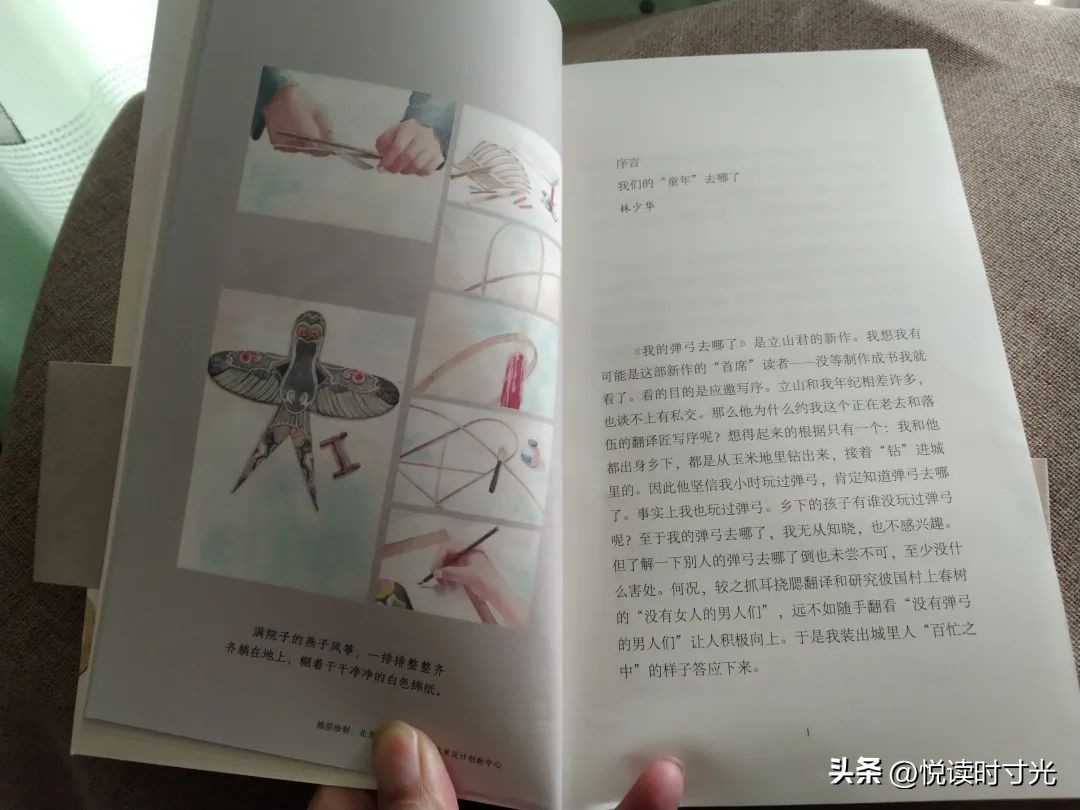 我的弹弓去哪了,我的弹弓去哪了在线阅读