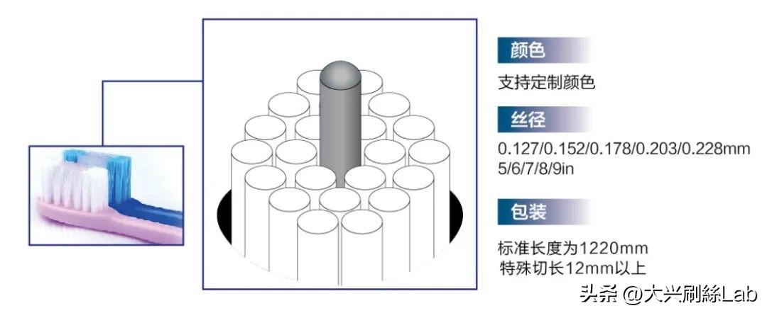 SoClean™爽洁丝 | 深层清洁,一“刷”到位!