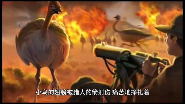 小花的美丽传说