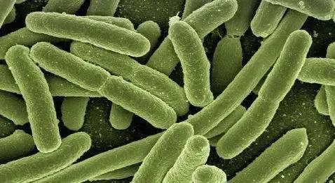 中医妇科专家钱麟：感染HPV，一定是阴道微生态不好吗？