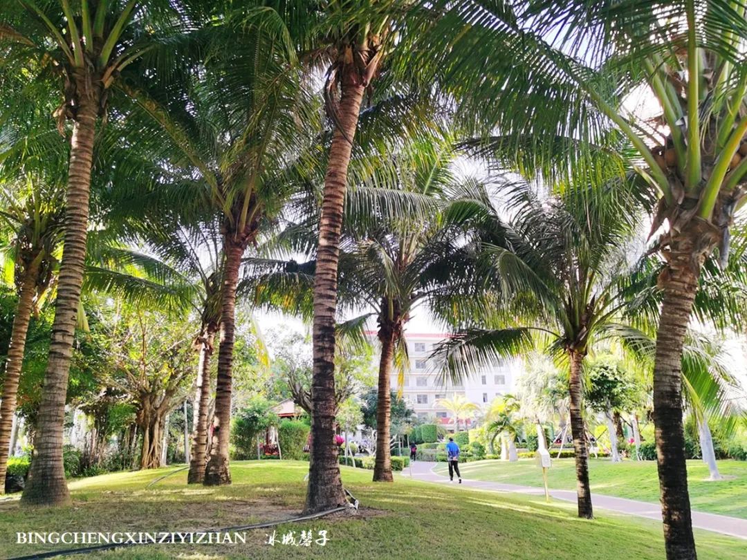 旅居海南,旅居式旅游生活海南