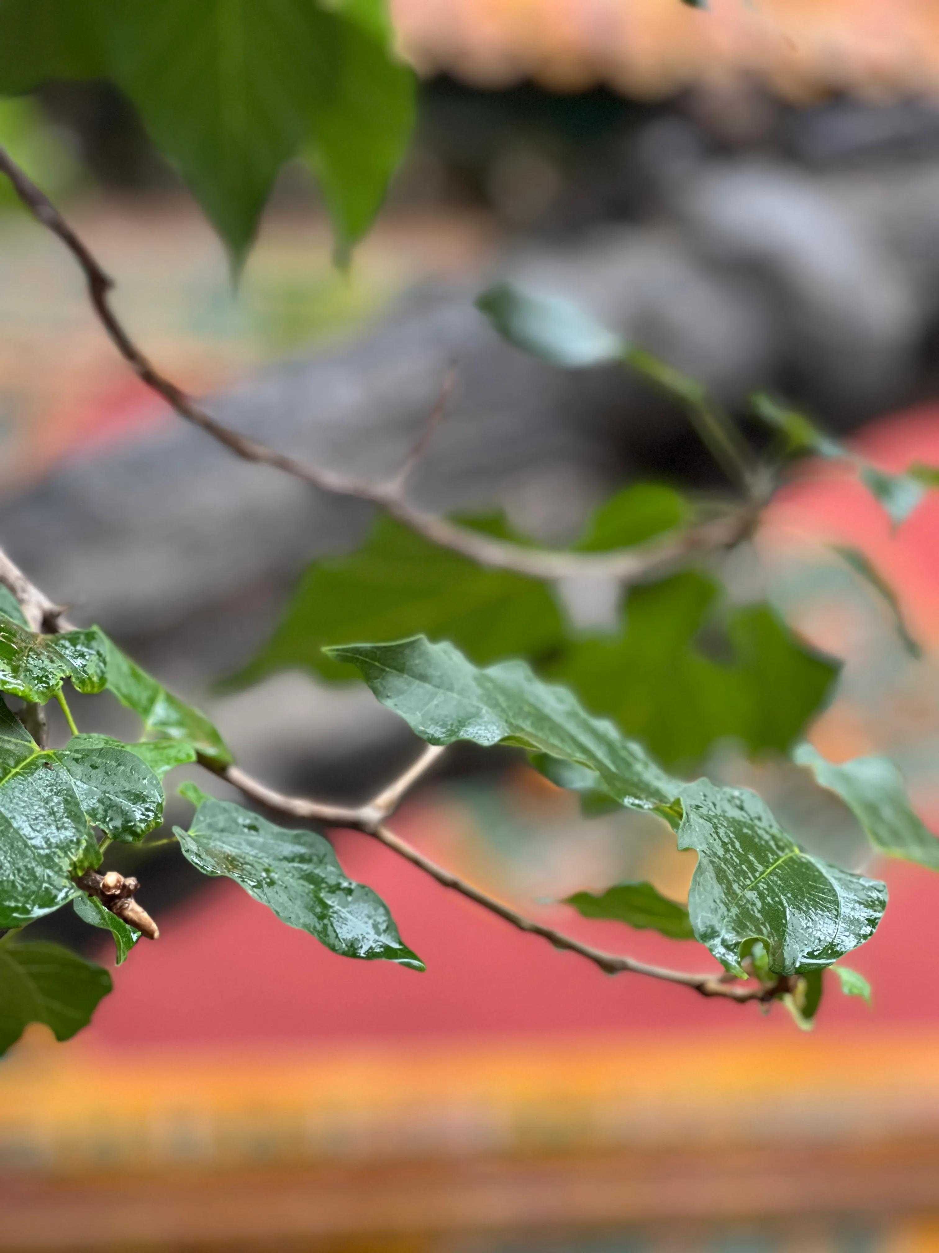 北京环球影城游玩攻略,北京两天一晚攻略