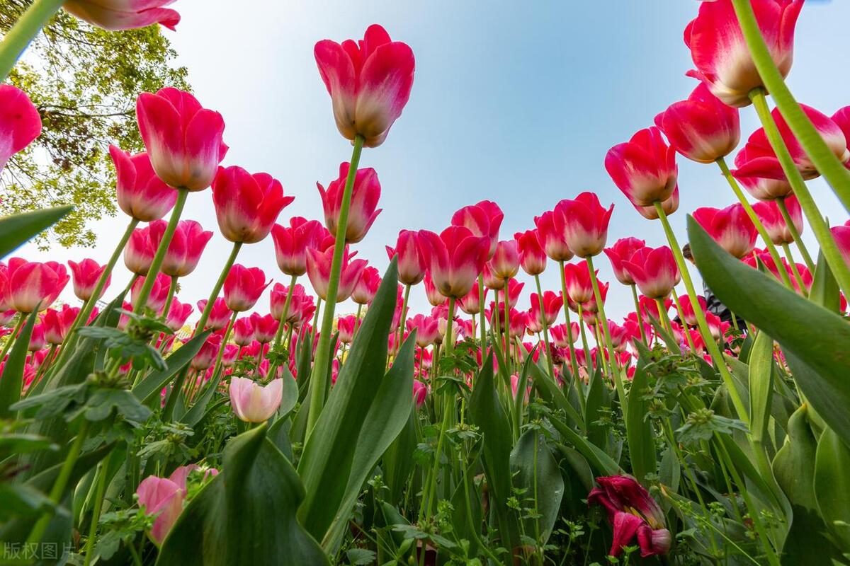 变了性格像换了一个人怎么回事,性格大变的人是怎么了