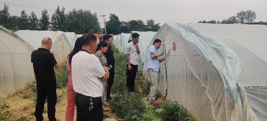 南召县石门乡:小蚂蚱成产业助力乡村振兴