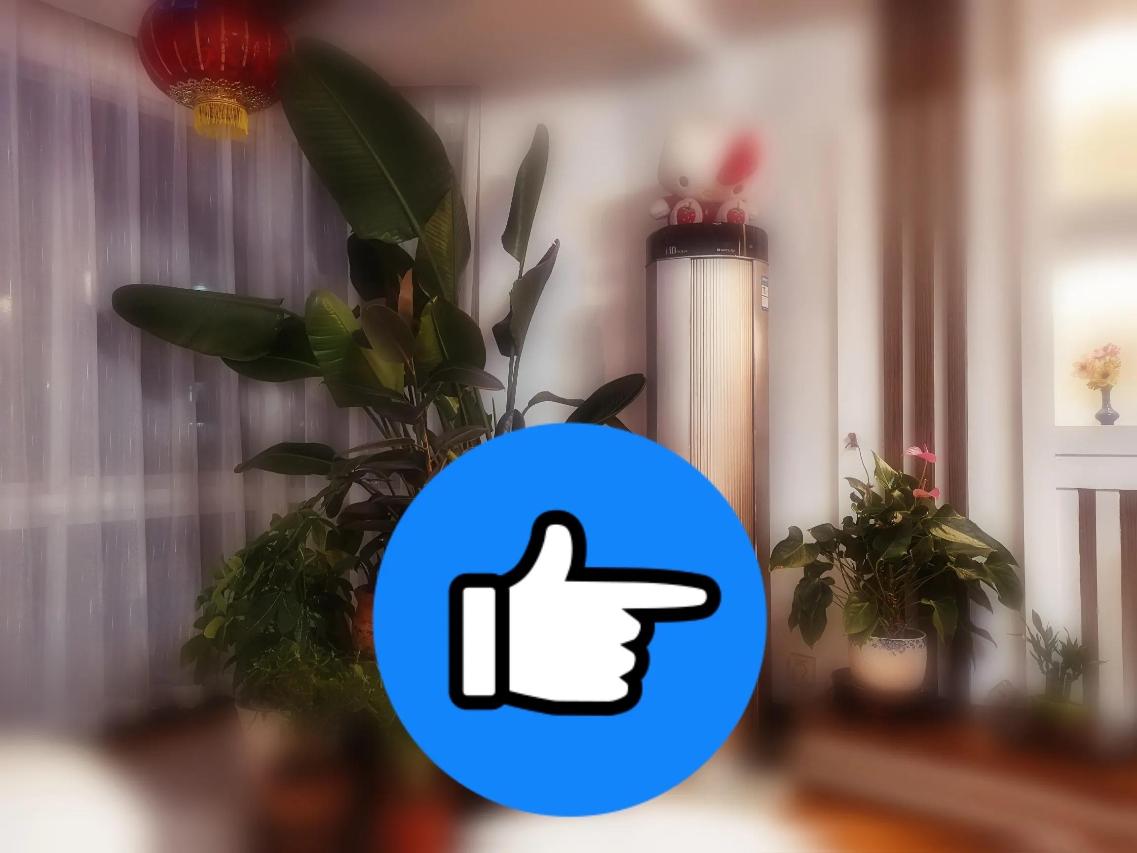 粉掌花变绿了怎么处理,粉掌花败了如何修剪