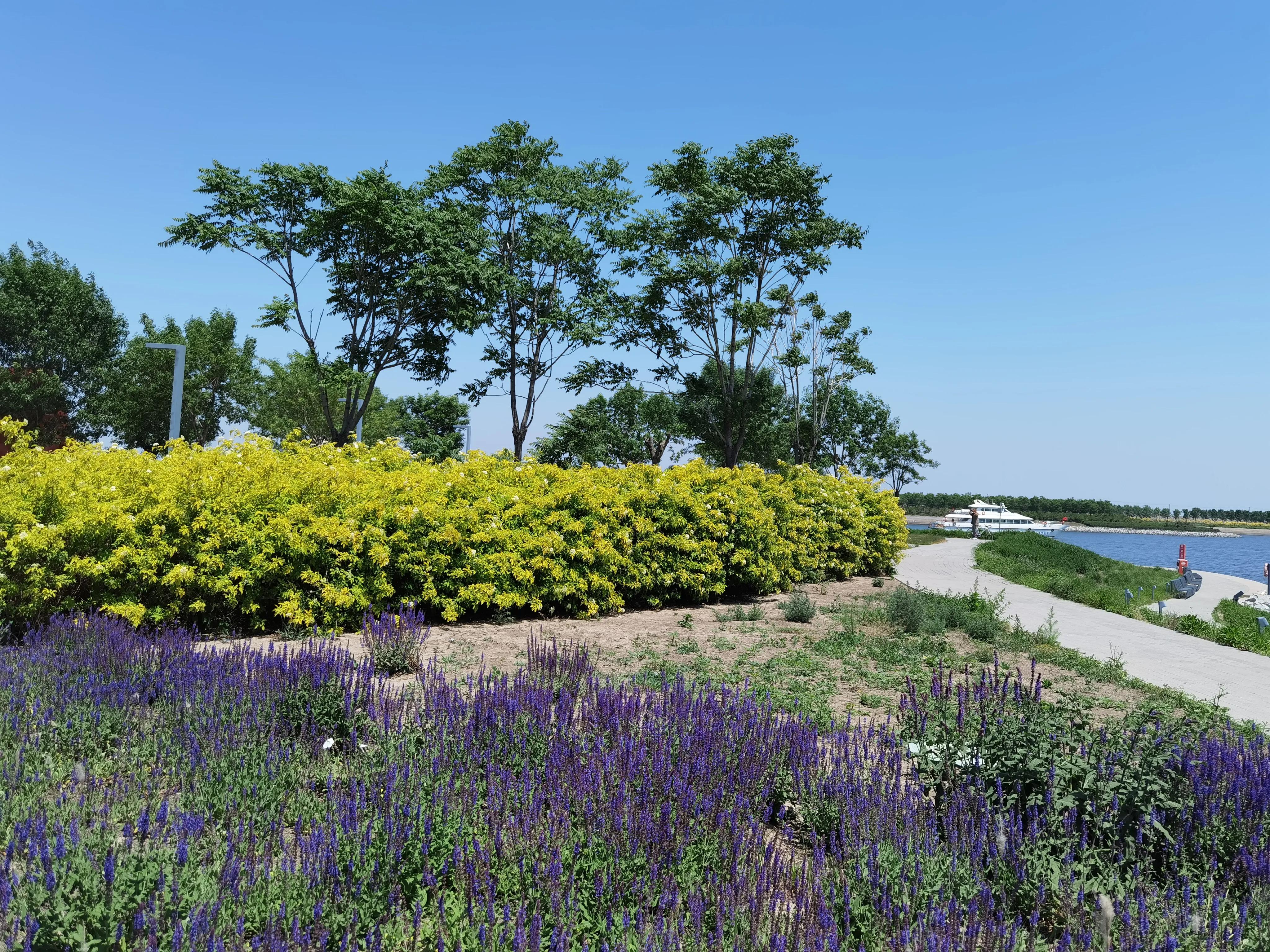 南湾海洋运动公园,国家海洋博物馆周边南湾公园