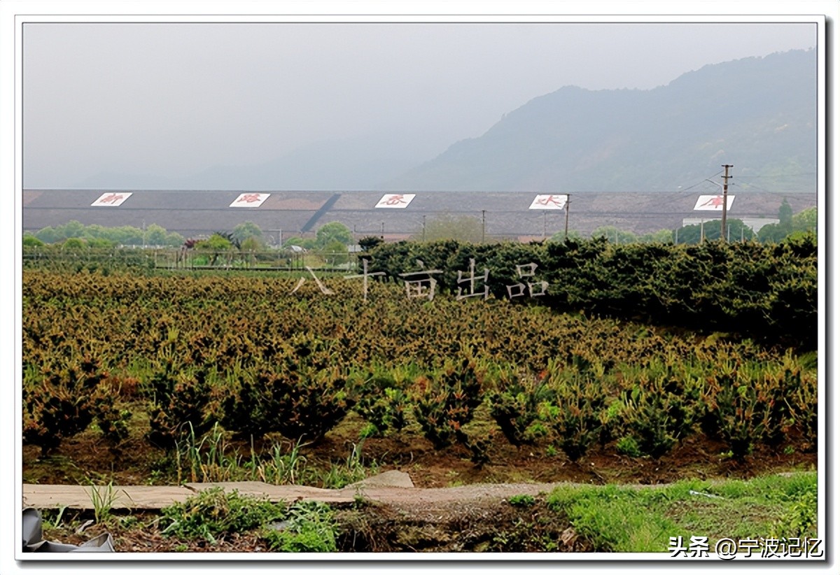 新碶街道与大碶街道哪条路为界,北仑新碶和大碶是一个地方吗