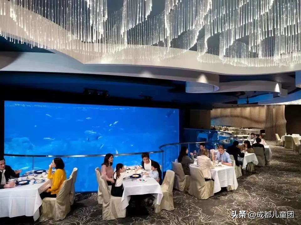 成都直通香港的高铁,成都高铁到达香港