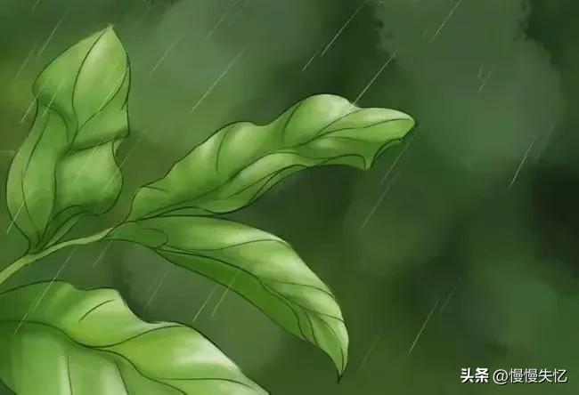 杜甫最经典的15首诗,杜甫的诗最经典的十首