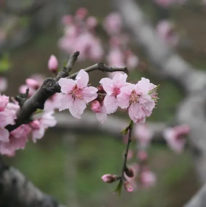 快上车app官网,快上车在哪设置