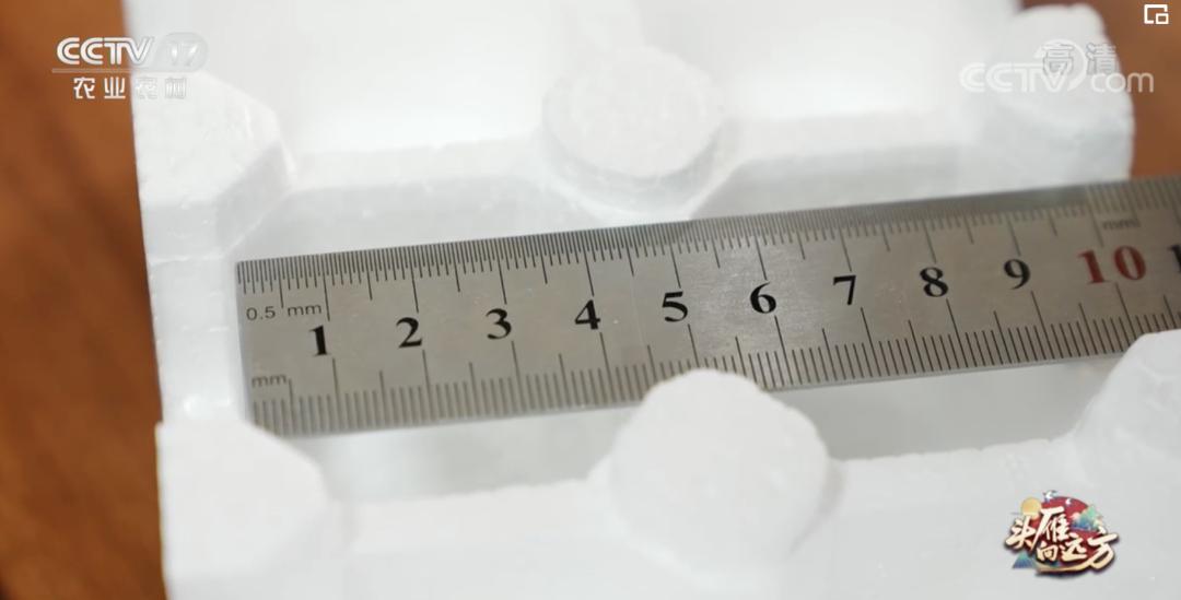 5万只鸡蛋一年能赚多少钱,一年卖1000万个鸡蛋