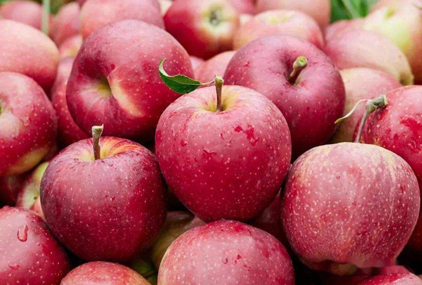 我国哪里的苹果最好吃又甜又脆,苹果哪里的产地最好吃最正宗