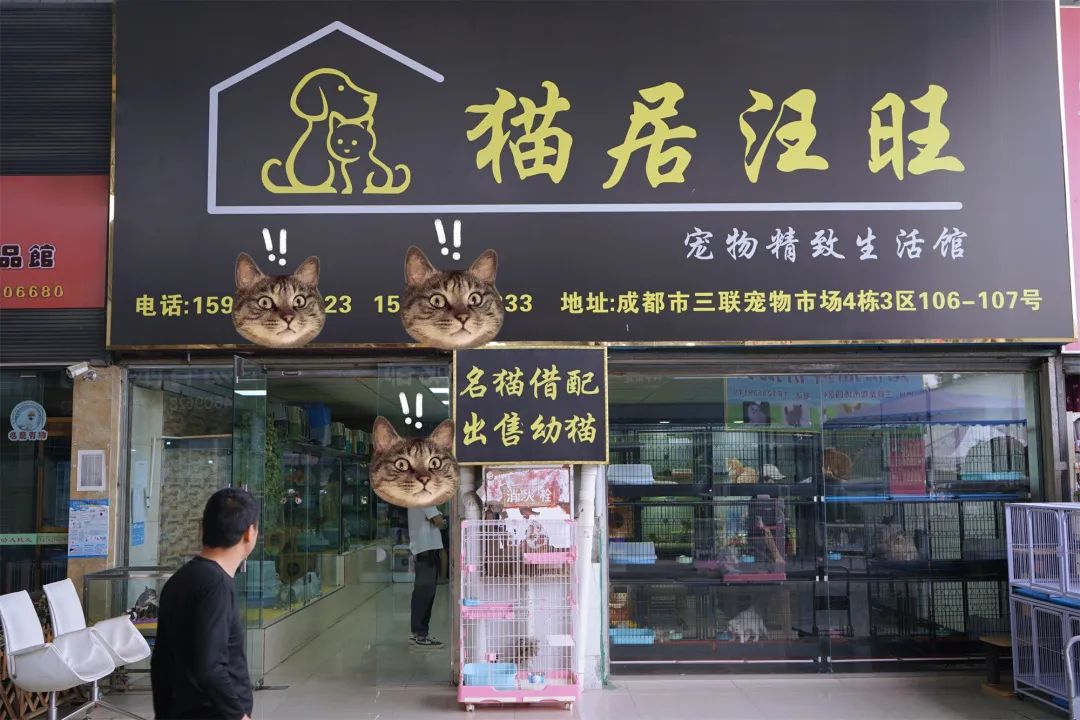 三联鸡鸭市场在哪里,三联市场家禽