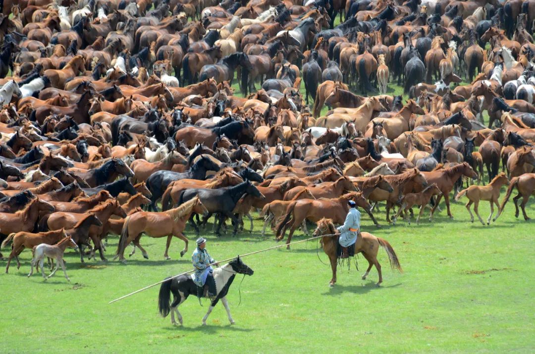 <html>
<head><title>502BadGateway</title></head>
<body>
<center><h1>502BadGateway</h1></center>
<hr><center>nginx</center>
</body>
</html>
<!--apaddingtodisableMSIEandChromefriendlyerrorpage-->
<!--apaddingtodisableMSIEandChromefriendlyerrorpage-->
<!--apaddingtodisableMSIEandChromefriendlyerrorpage-->
<!--apaddingtodisableMSIEandChromefriendlyerrorpage-->
<!--apaddingtodisableMSIEandChromefriendlyerrorpage-->
<!--apaddingtodisableMSIEandChromefriendlyerrorpage-->
