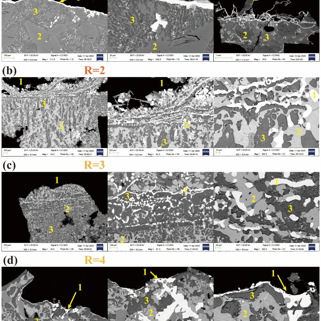 喜报获得金奖,喜报省特等奖