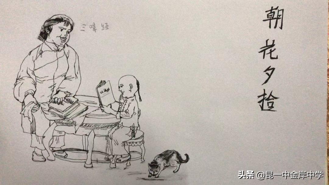 融合创新采撷精彩——《朝花夕拾》之重回百花园，绽放生命的美